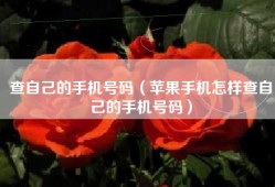 查自己的手机号码（苹果手机怎样查自己的手机号码）
