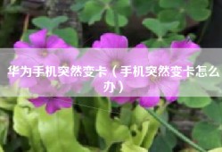 华为手机突然变卡（手机突然变卡怎么办）