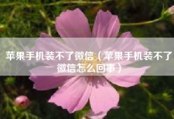 苹果手机装不了微信（苹果手机装不了微信怎么回事）