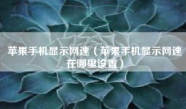 苹果手机显示网速（苹果手机显示网速在哪里设置）