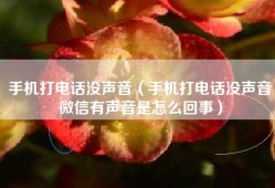 手机打电话没声音（手机打电话没声音微信有声音是怎么回事）