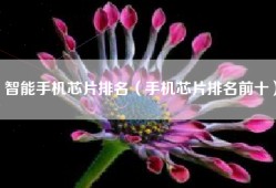 智能手机芯片排名（手机芯片排名前十）
