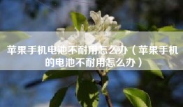 苹果手机电池不耐用怎么办（苹果手机的电池不耐用怎么办）