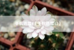 手机迅雷4（手机迅雷4.2）