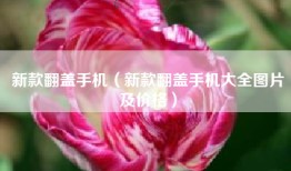 新款翻盖手机（新款翻盖手机大全图片及价格）
