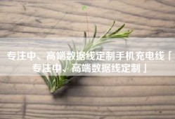 专注中、高端数据线定制手机充电线「专注中、高端数据线定制」