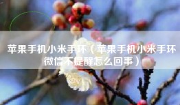 苹果手机小米手环（苹果手机小米手环微信不提醒怎么回事）