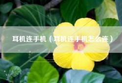耳机连手机（耳机连手机怎么连）