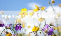 手机电池冰箱（手机电池冰箱能用多久）
