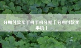 分期付款买手机手机分期「分期付款买手机」