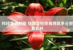 科技驱动创新 安徽企恒贸易铸就多元贸易标杆