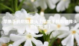 苹果手机后摄像头（苹果手机后摄像头拍照脸歪）