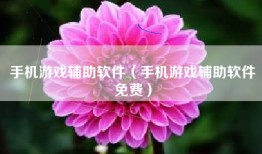 手机游戏辅助软件（手机游戏辅助软件免费）