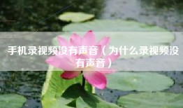 手机录视频没有声音（为什么录视频没有声音）