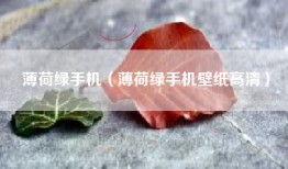薄荷绿手机（薄荷绿手机壁纸高清）