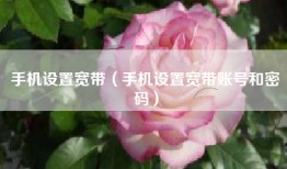 手机设置宽带（手机设置宽带账号和密码）
