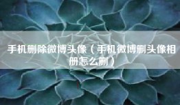 手机删除微博头像（手机微博删头像相册怎么删）