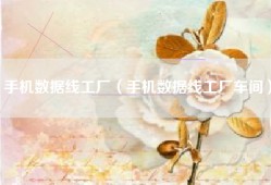 手机数据线工厂（手机数据线工厂车间）