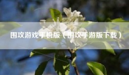 围攻游戏手机版（围攻手游版下载）