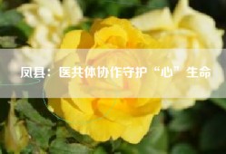 凤县：医共体协作守护“心”生命