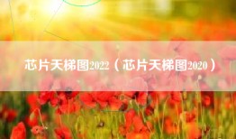 芯片天梯图2022（芯片天梯图2020）