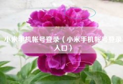 小米手机帐号登录（小米手机帐号登录入口）