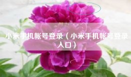 小米手机帐号登录（小米手机帐号登录入口）