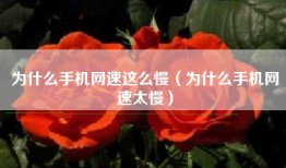 为什么手机网速这么慢（为什么手机网速太慢）