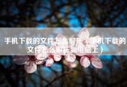 手机下载的文件怎么解压（手机下载的文件怎么解压到电脑上）
