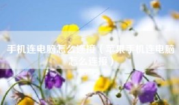 手机连电脑怎么连接（苹果手机连电脑怎么连接）