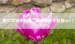 模拟驾驶手机版（模拟驾驶手机版2023）