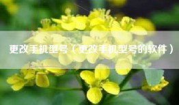 更改手机型号（更改手机型号的软件）