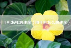 手机怎样测速度（用手机怎么测速度）