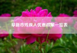 阜新市残疾人优惠政策一览表