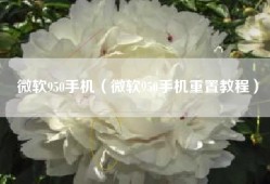 微软950手机（微软950手机重置教程）