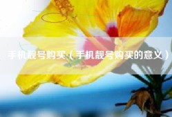 手机靓号购买（手机靓号购买的意义）
