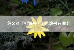 怎么查手机编号（手机编号在哪）