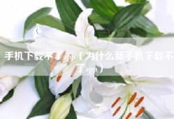 手机下载不了app（为什么新手机下载不了app）