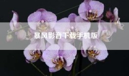 暴风影音下载手机版