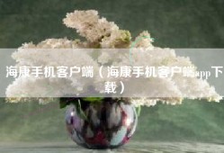 海康手机客户端（海康手机客户端app下载）