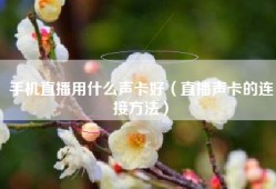 手机直播用什么声卡好（直播声卡的连接方法）