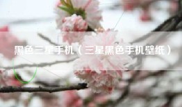 黑色三星手机（三星黑色手机壁纸）