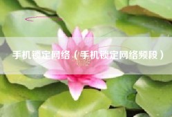 手机锁定网络（手机锁定网络频段）