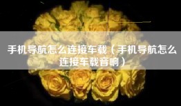手机导航怎么连接车载（手机导航怎么连接车载音响）