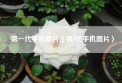 第一代手机图片（第1代手机图片）