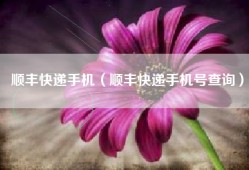 顺丰快递手机（顺丰快递手机号查询）