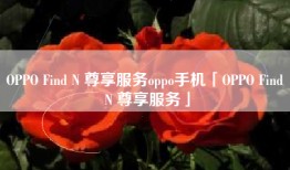 OPPO Find N 尊享服务oppo手机「OPPO Find N 尊享服务」
