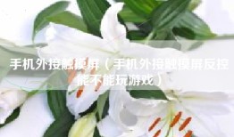 手机外接触摸屏（手机外接触摸屏反控能不能玩游戏）
