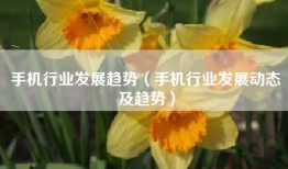 手机行业发展趋势（手机行业发展动态及趋势）