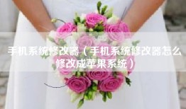 手机系统修改器（手机系统修改器怎么修改成苹果系统）